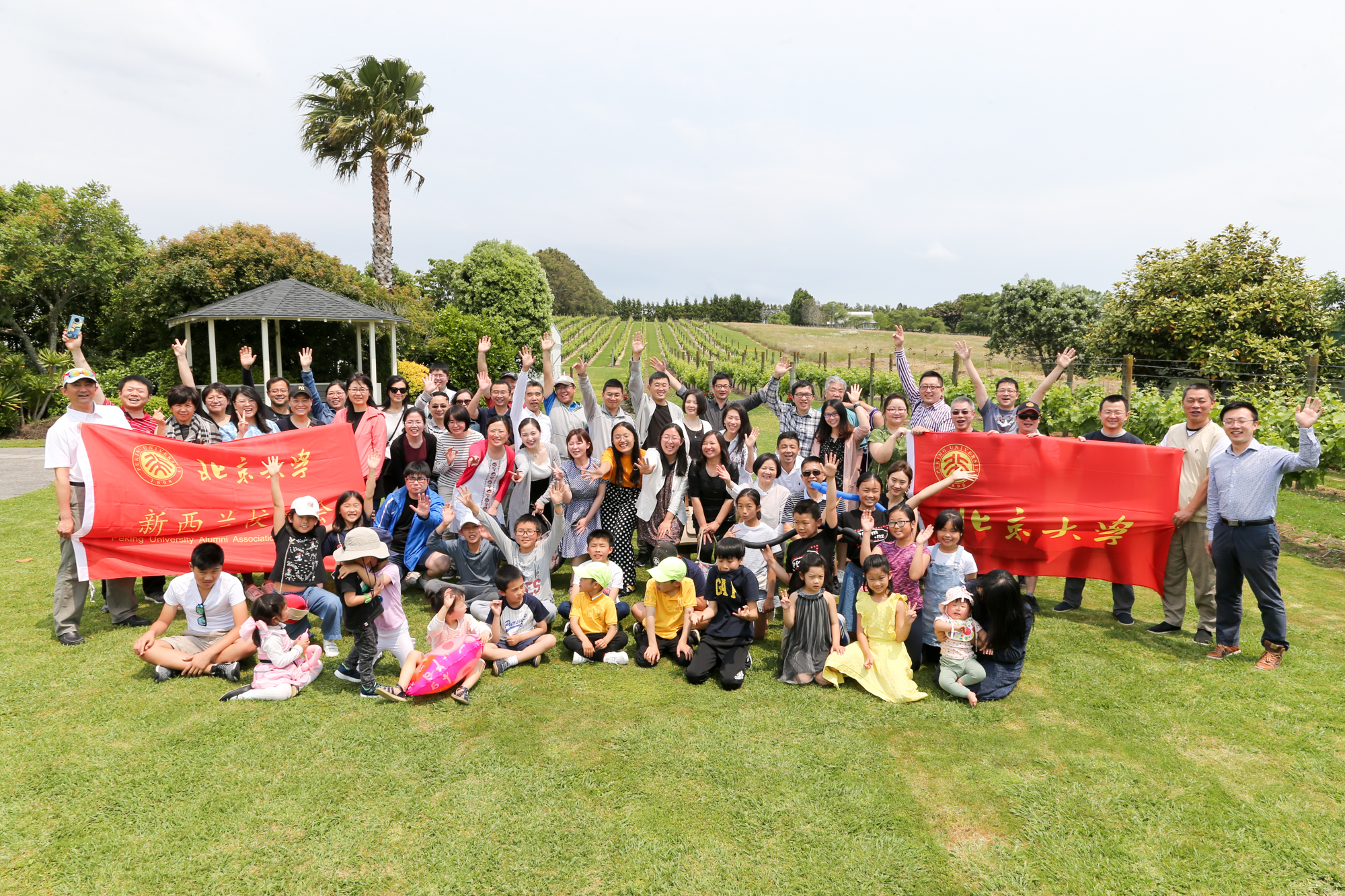 20191117035K9910 beida